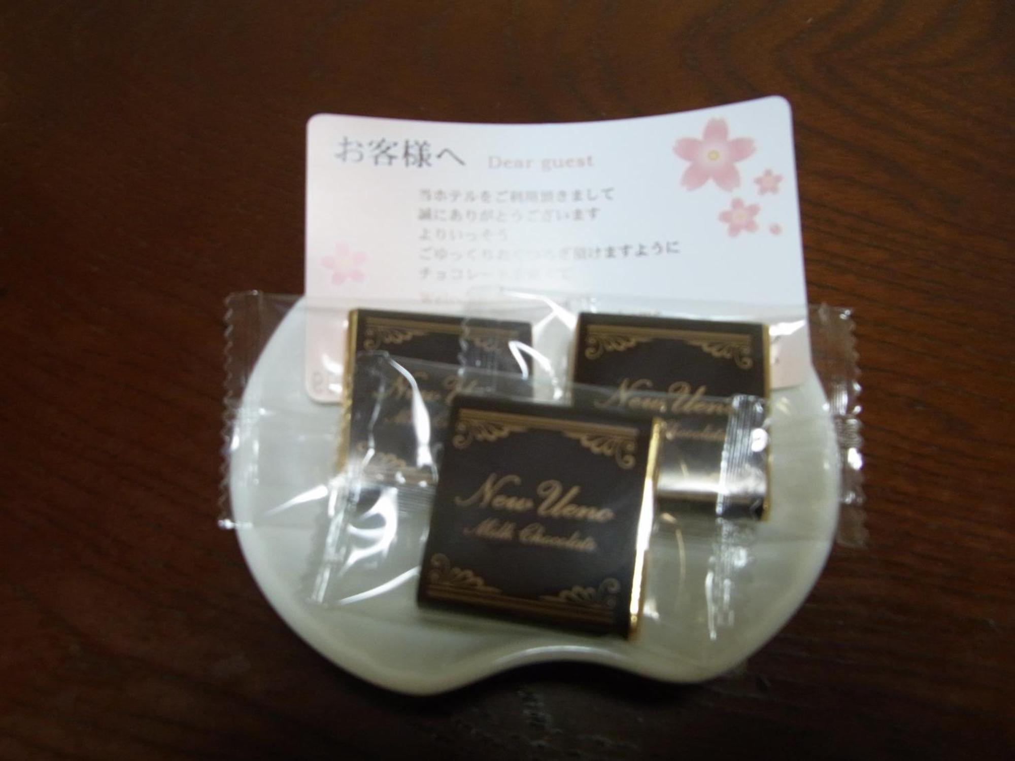Hotel New Ueno Tokyo Oda fotoğraf